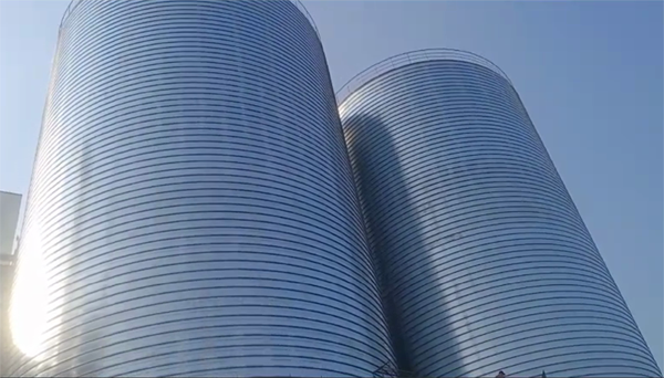 吉木萨尔2座混凝土高架卷板仓